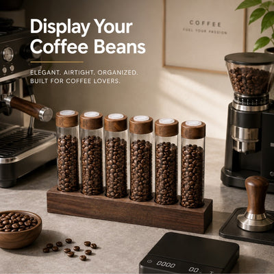 Borosilicate glass coffee bean tubes in walnut holder for home baristas