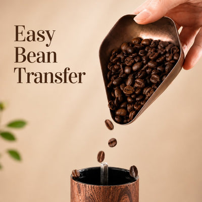 Hand transferring coffee beans from a stainless steel coffee bean dish into a coffee maker with text 'Easy Bean Transfer'.